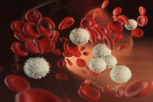 Лечение лейкопении в Израиле