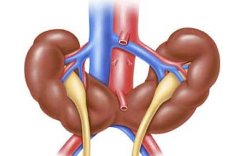 Нефросклероз