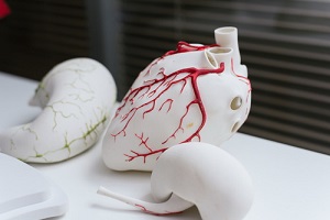 Донорское сердце заменят роботизированным