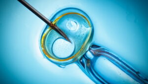 ИИ будет выбирать эмбрионы для ЭКО